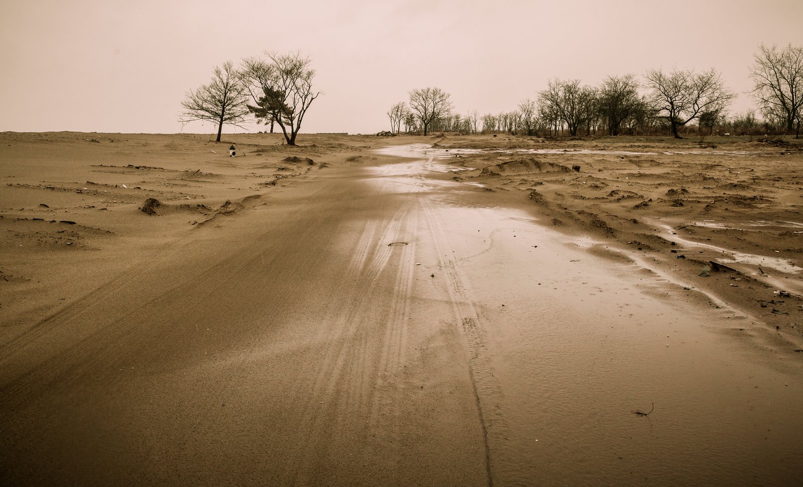 art-of-sandy-mo-staten island 2-12.jpg